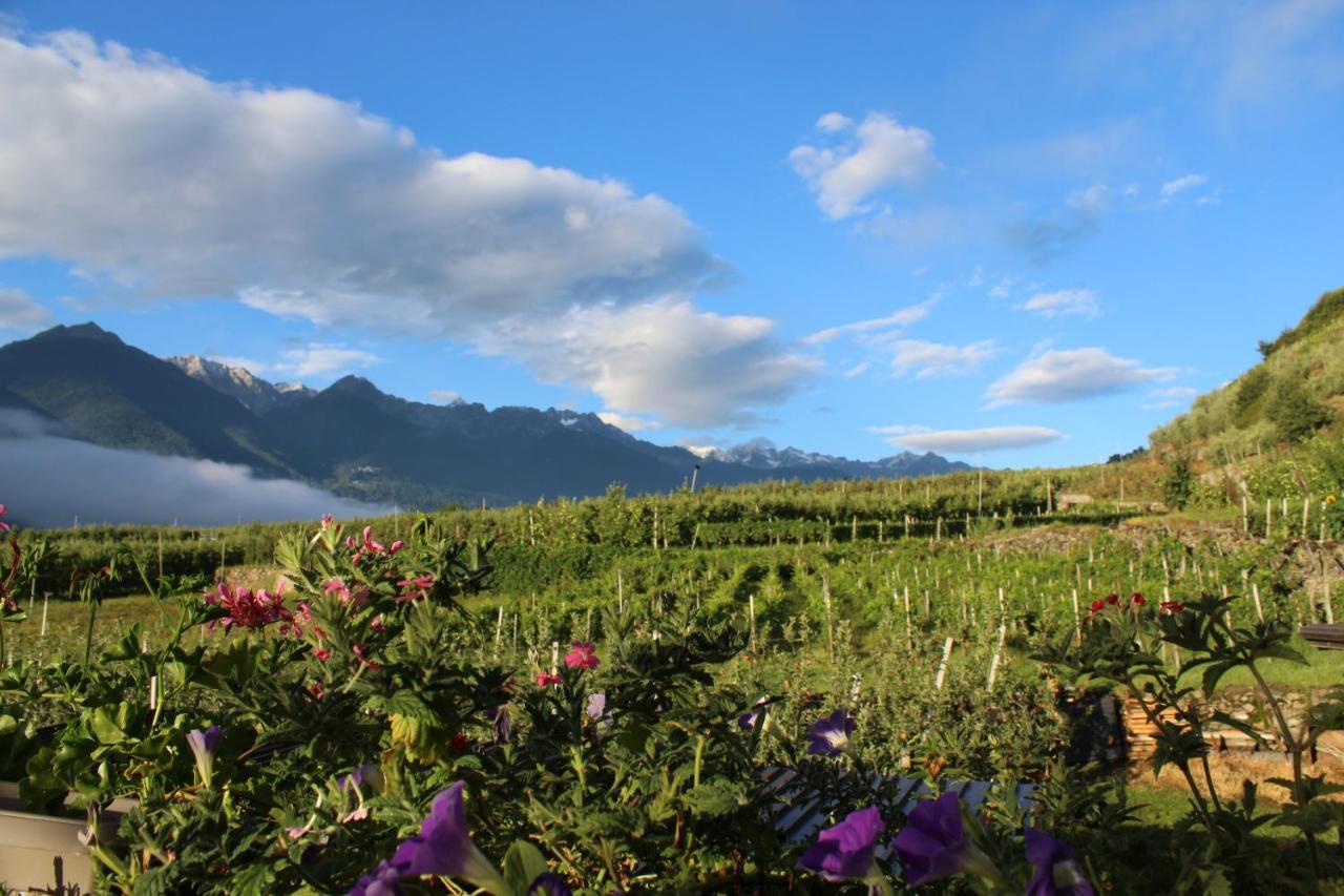 La Vita In Campagna Villa di Tirano المظهر الخارجي الصورة