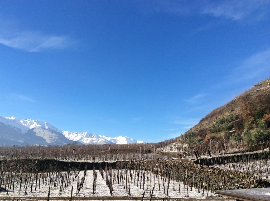 La Vita In Campagna Villa di Tirano المظهر الخارجي الصورة