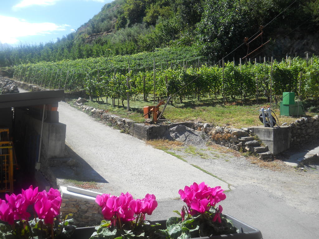 La Vita In Campagna Villa di Tirano المظهر الخارجي الصورة