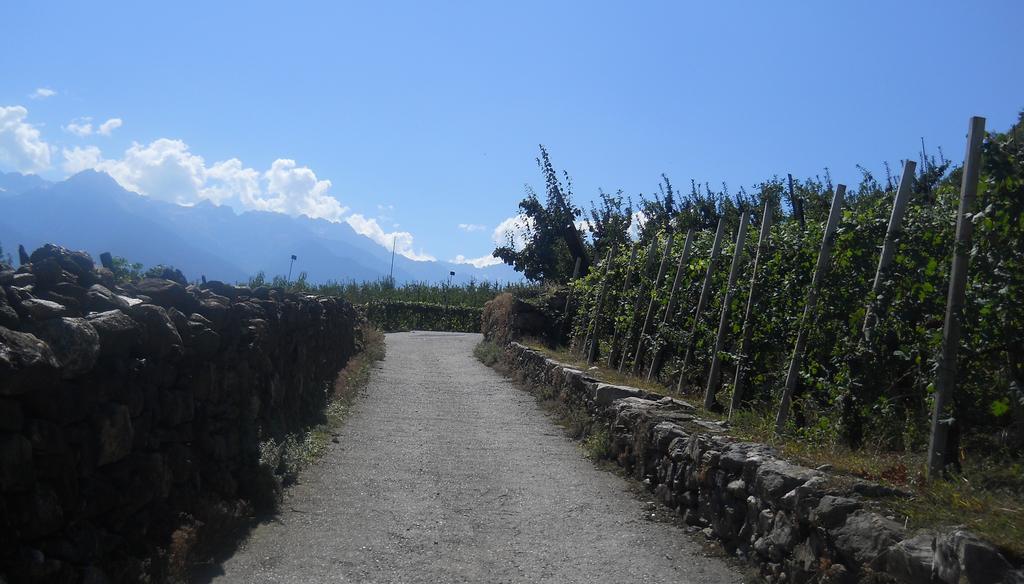 La Vita In Campagna Villa di Tirano المظهر الخارجي الصورة