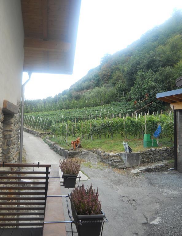 La Vita In Campagna Villa di Tirano الغرفة الصورة